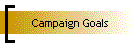 Campaign Goals
